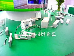 電子稱重模塊 0.5噸傳感器秤 0.5噸scs電子稱重模塊