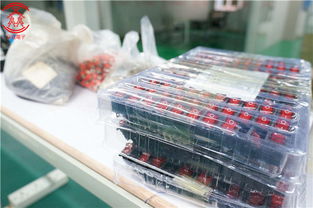 優(yōu)質(zhì)pcba包工包料制板廠商,眾焱電子,oem代工廠